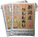 《真空パックで非常時の 備蓄米 にも》令和5年 新潟県産 コシヒカリ玄米 10kg (5kg×2袋 真空パック)【5年度産 新潟産 新潟米 コシヒカリ玄米 こしひかり 玄米 お米 おいしいお米 保存米 10kg 10キロ 真空パック 美味しい おいしい 米 お米 地域限定 送料無料】