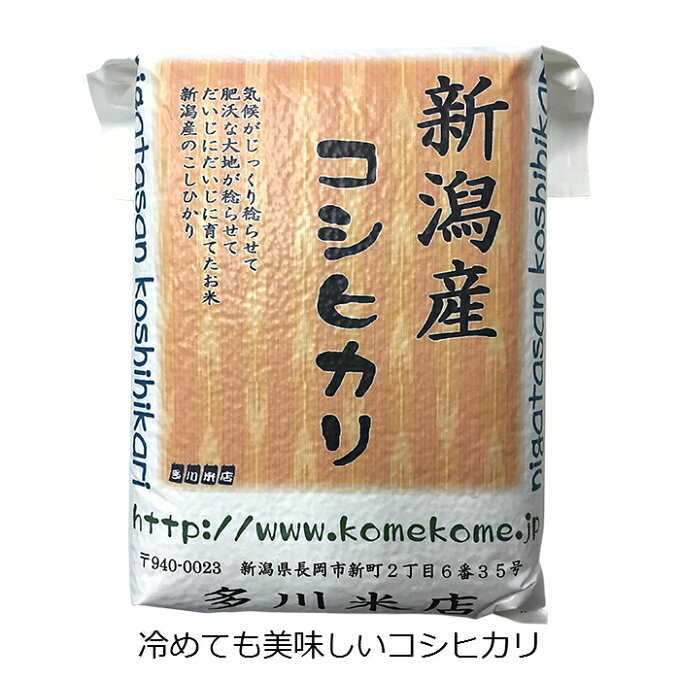 《真空パックで非常時の 備蓄米 にも》令和元年 新潟県産 コシヒカリ 5kg (5kg×1袋 真空パック)【1年産1年度産 新潟産 新潟県産 新潟米 コシヒカリ 米 お米 5kg 5キロ 美味しいお米 おいしいお米 真空パック 美味しい おいしい 米 お米】