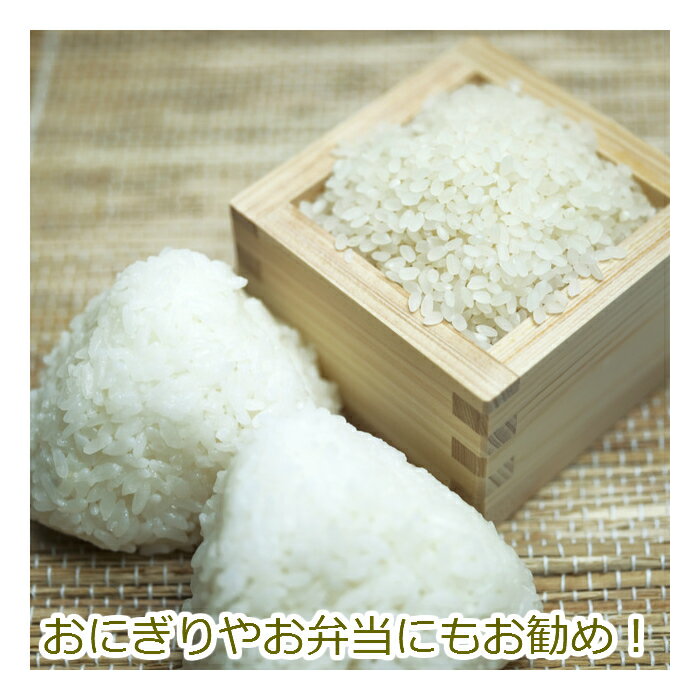 サンプル画像3