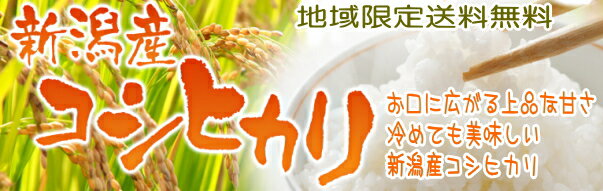 サンプル画像2