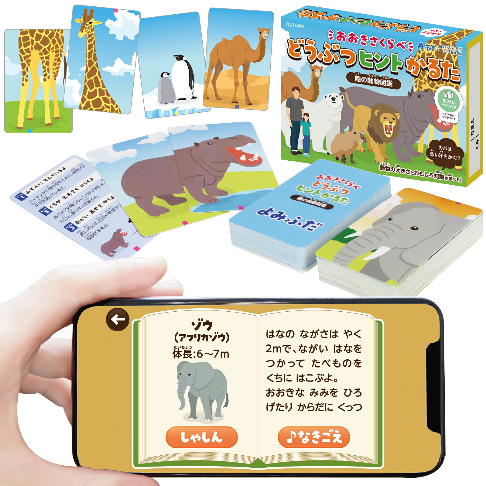 動物の大きさくらべができるかるた！動物の雑学も学べる！動物の雑学と大きさを学ぶことができるかるたです。梅花女子大学こども教育学科とアーテックとの産学連携によるコラボ商品です。登場する動物の種類は全41種類で、3種類のゲームができます。1.ヒントかるた（読み札に書かれたおもしろ知識をヒントに、その動物を探して札を取るゲーム）2.絵合わせ（裏返した動物カードをめくって、同じ動物のカードを探すゲーム）3.めくりかるた（山札からめくったカードと同じ動物のカードを探して札を取るゲーム）どうぶつたちの解説や写真・動画が見られる専用のアプリ付きです。【対応ブラウザ】Chrome（Chrome Android）100以降、Safari（Safari on iOS）15以降、Edge（Chromium版のみ）100以降、Firefox（Firefox for Android）110以降