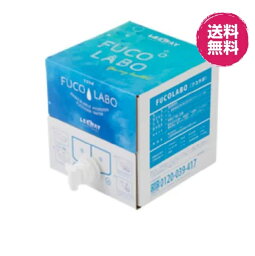 【 健康支援・送料無料】ナノバブル水素水フコイダ　10L フコラボ　 FUCO LABO 標準版　フコイダン水素水　フコイダン水 フコイダン飲料水 水素水 ナノバブル水 高濃度