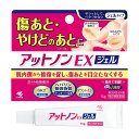 【第2類医薬品】 アットノンEX ジェル 15g 傷、やけどのあとなどに 小林製薬