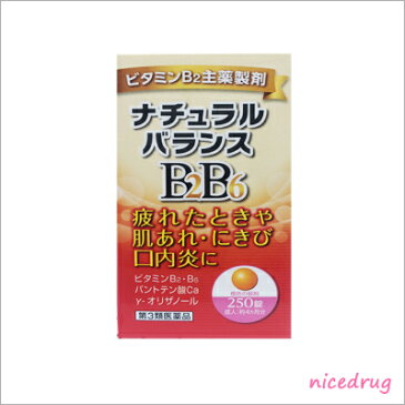 【第3類医薬品】 【米田薬品工業】ナチュラルバランスBB　250錠ビタミンB2・B6配合　肌あれ・にきび・口内炎の緩和・肉体疲労時に