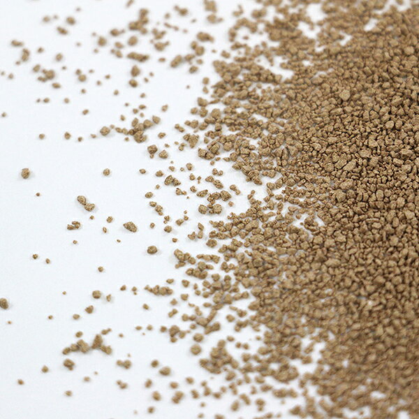 ����2������ʡ� �뺬�򥨥�����γ 21�� ��ƣ��������