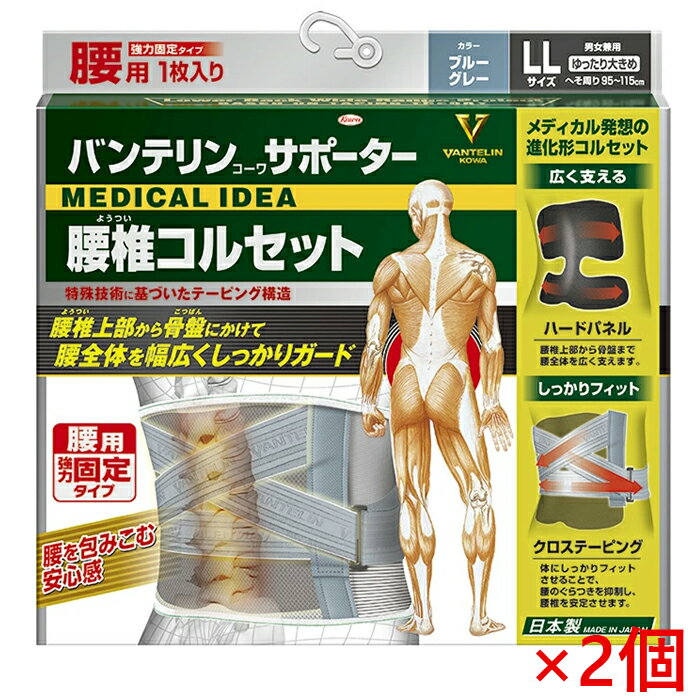 バンテリンサポーター 腰椎コルセット ゆったり大きめ LLサイズ 95cm〜115cm ブルーグレー 男女兼用1枚入 ×2個 返品・交換不可 興和(4.0)
