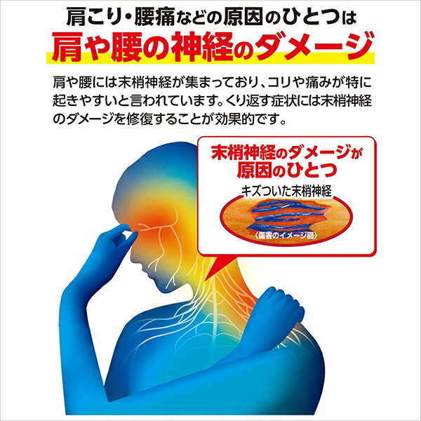 ★ 【第3類医薬品】 ナボリンS 40錠 セルフメディケーション税制対象商品 エーザイ