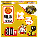 アイリスオーヤマ 貼るカイロ ぽかぽか家族 120個入り（10枚入り×10個）コストコ生活雑貨