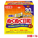 <送料無料>ホッカイロ ぬくぬく日和 貼る ミニ 30個入×16 興和