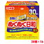 <送料無料>ホッカイロ ぬくぬく日和 貼る ミニ 30個入×16 興和