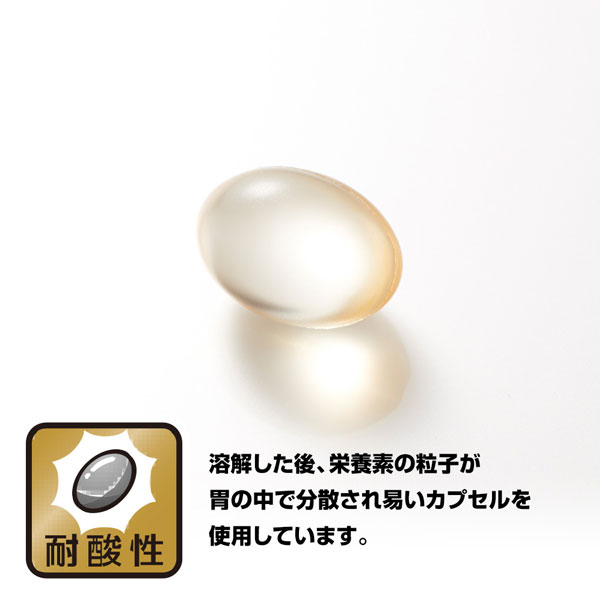 鮫肝油 (644mg×90粒) 栄養補助食品 野口医学研究所 nice-10021223 ナイスドラッグ サンプル画像2