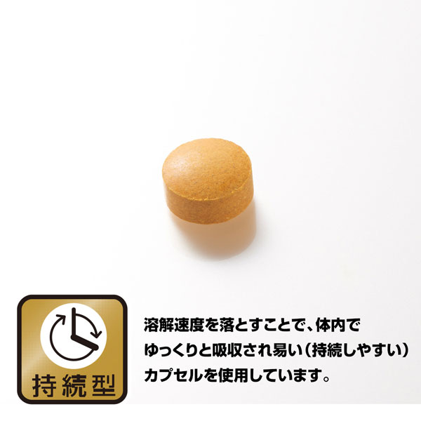 肝臓エキス＆ウコン (250mg×90粒) 栄養補助食品 野口医学研究所