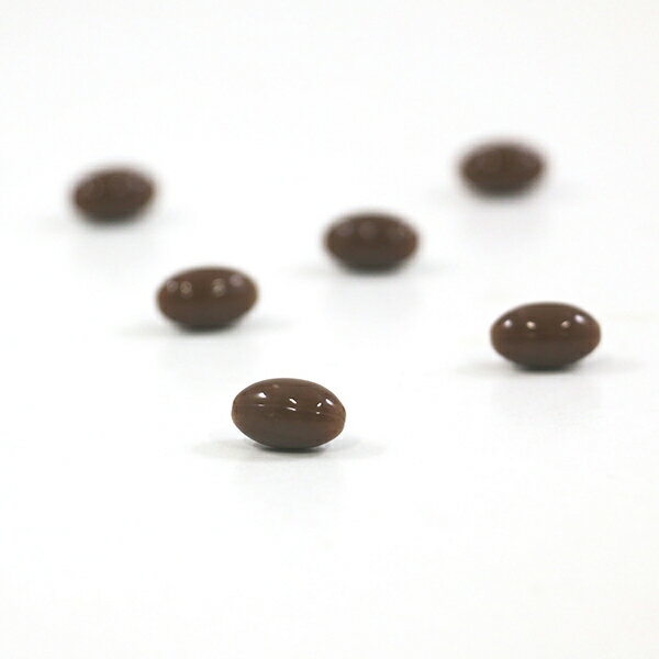 すっぽんパワー球 120粒 井藤漢方製薬