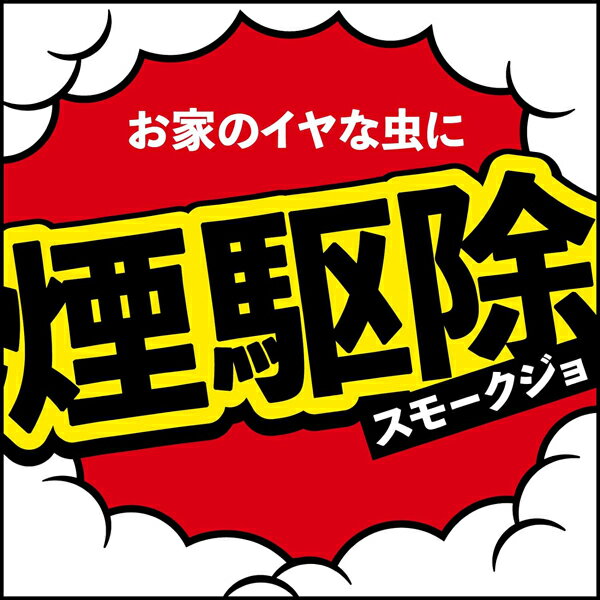 アースレッド イヤな虫用 12～16畳用 20g 害虫駆除剤 アース製薬 2