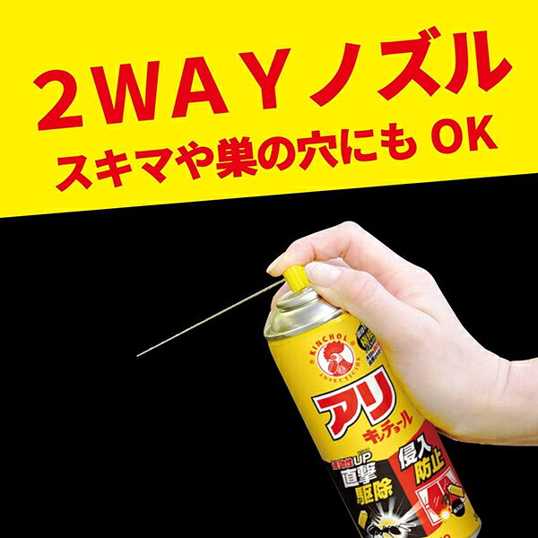 ナイスドラッグのアリキンチョールV 300mL キンチョー KINCHO｜アングル3