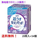 無地箱のケース販売リフレ 超うす安心パッド 120cc 20枚入×54個 多い時も安心用 リブドゥ 医療費控除対象商品