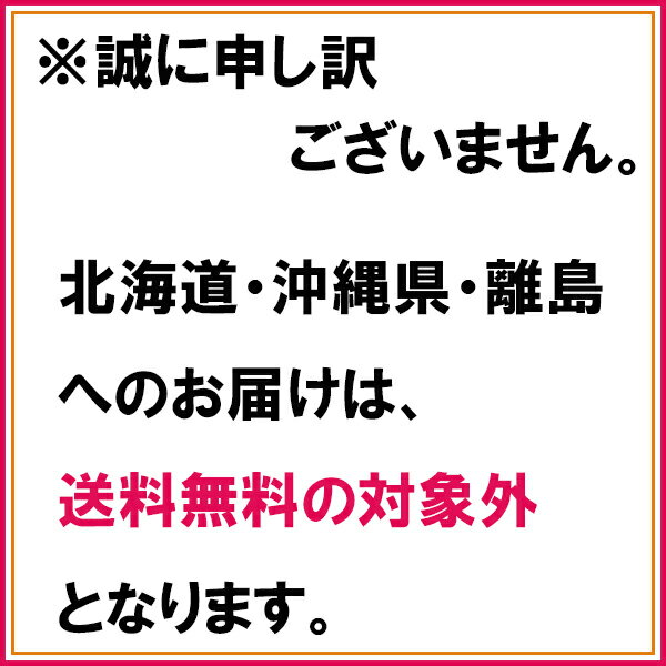 無地箱のケース販売 超S&C 220cc 14...の紹介画像2