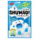 シュワオソフトキャンデー ソーダ味 30g ノーベル製菓