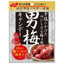 男梅キャンデー 80g ノーベル製菓