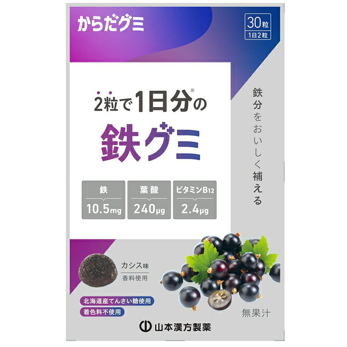 鉄グミ からだグミ 30粒