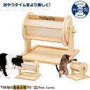 Wheel of Fortuneガラガラポン ペット ペットグッズ 犬用品 犬 猫用品 猫 おもちゃ 木製 しつけ 知育玩具 餌入れ 【petselect】