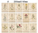 英字新聞 15枚 花 ラッピング 新聞紙 包装紙 デザインペーパー アンティーク 天然素材 プレゼント ハンドメイド 手芸素材