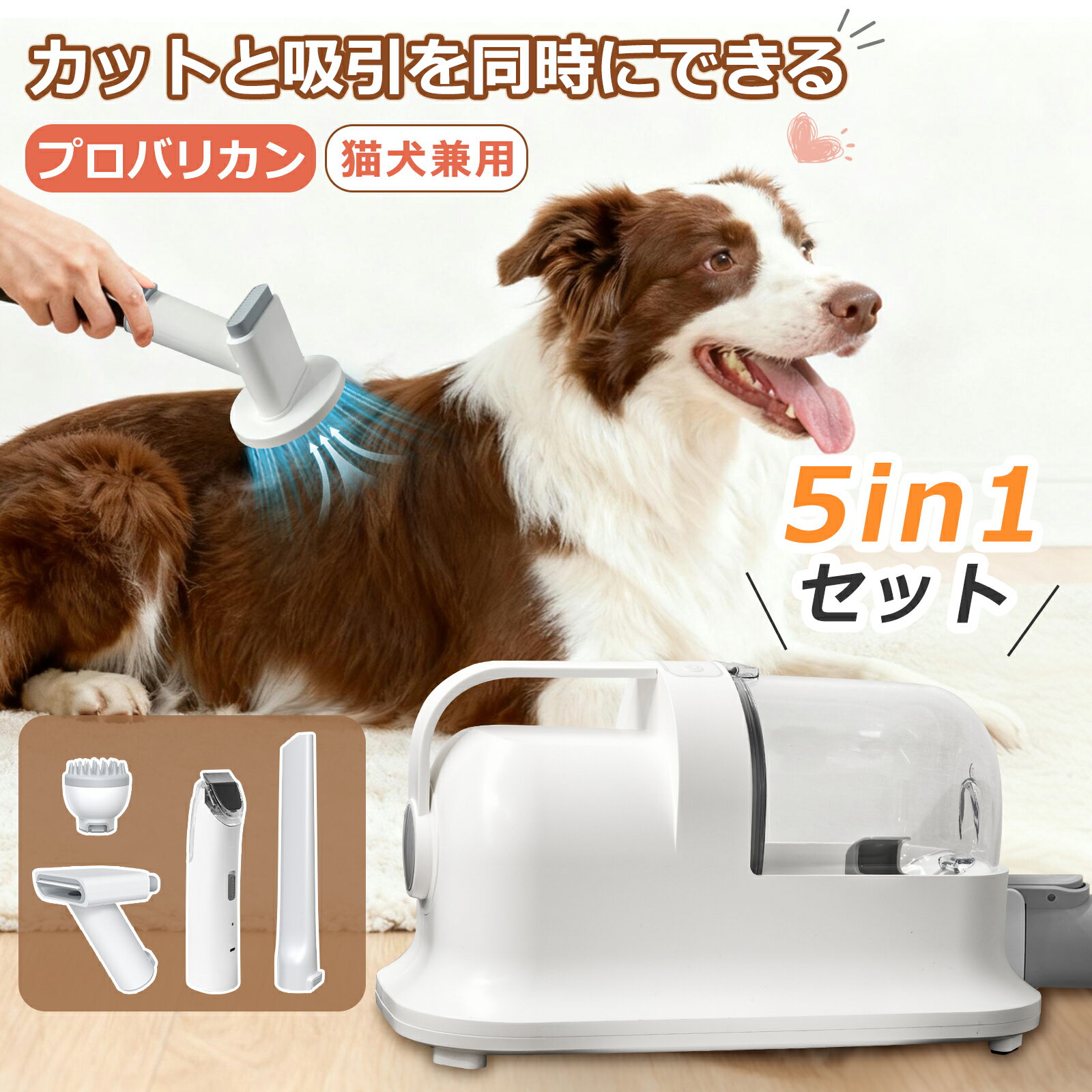  ץХꥫ ڥå Хꥫ 롼ߥݽ 5å Ų Хꥫ  ǭ ڥå  ڥåȥ롼ߥ ꡼ʡ ưХꥫ ...