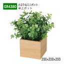 【正規代理店】BELK GreenMode ベルク グリーンモード GR4380 卓上ポット 木目ポット 200×200×200 パーテーション パーティション...