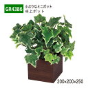 【正規代理店】BELK GreenMode ベルク グリーンモード GR4386 卓上ポット 木目ポット 200x200x250 パーテーション パーティション...