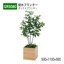 【正規代理店】BELK GreenMode ベルク グリーンモード GR5080 樹木プランター 500×1100×500 スタンダード オールラウンド パーテ...