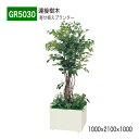 【正規代理店】BELK GreenMode ベルク グリーンモード GR5030 寄せ植えプランター 1000×2100×1000 フィカスベンジャミン BOX...