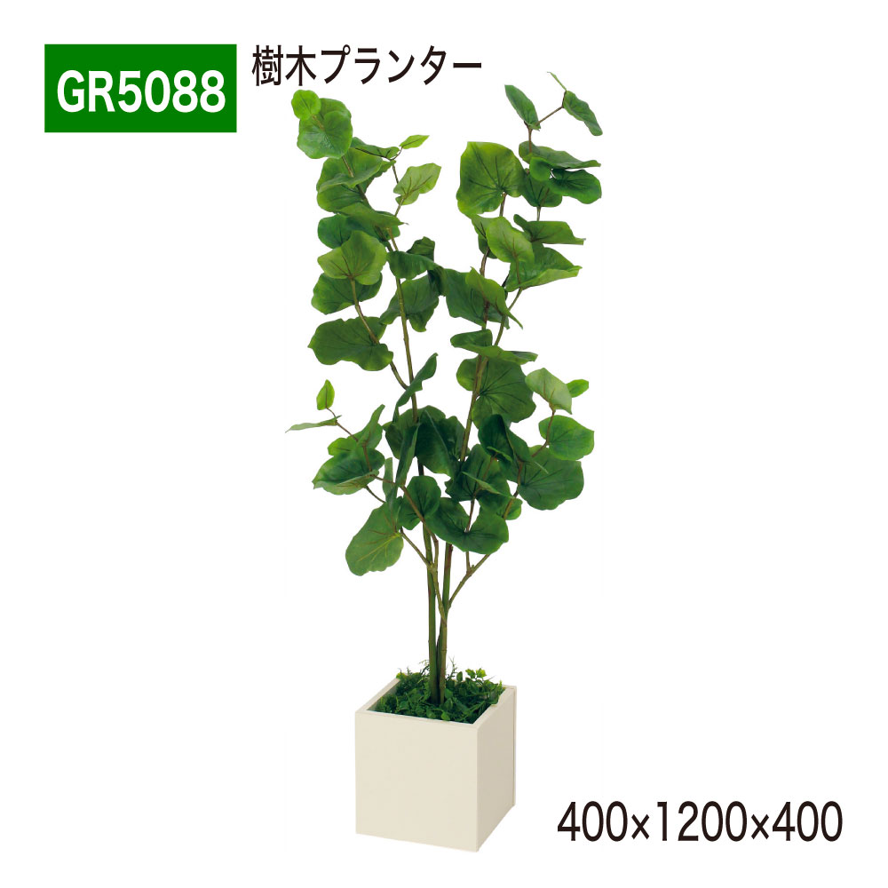 ����������Ź��BELK GreenMode �٥륯 ���꡼��⡼�� GR5088 ���ڥץ�󥿡� 400��1200��400 �ܥå����ץ�󥿡� �������� �ߥ� ...