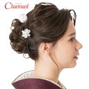 成人式 振袖 髪飾り 400-954 髪飾りセット Uピン ヘアアクセサリー 和装 アクセサリー シルバー ゴールド 入学式 成人式 卒業式 結婚式 浴衣 ブライダル 披露宴 和風 洋風 ブランド Charmant シャルマン