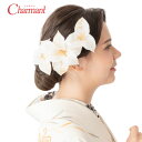 成人式 振袖 髪飾り 500-972 髪飾りセット コーム Uピン ヘアアクセサリー 和装 アクセサリー シロ シルバー ゴールド 入学式 成人式 卒業式 結婚式 浴衣 ブライダル 披露宴 和風 洋風 ブランド Charmant シャルマン