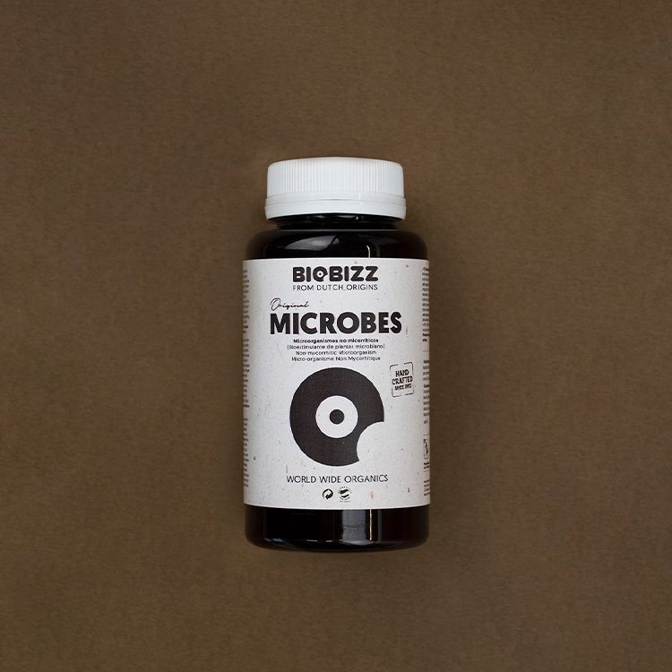 BioBizz MICROBES 150g }CNuX 엿  yf oCIrY ͔|