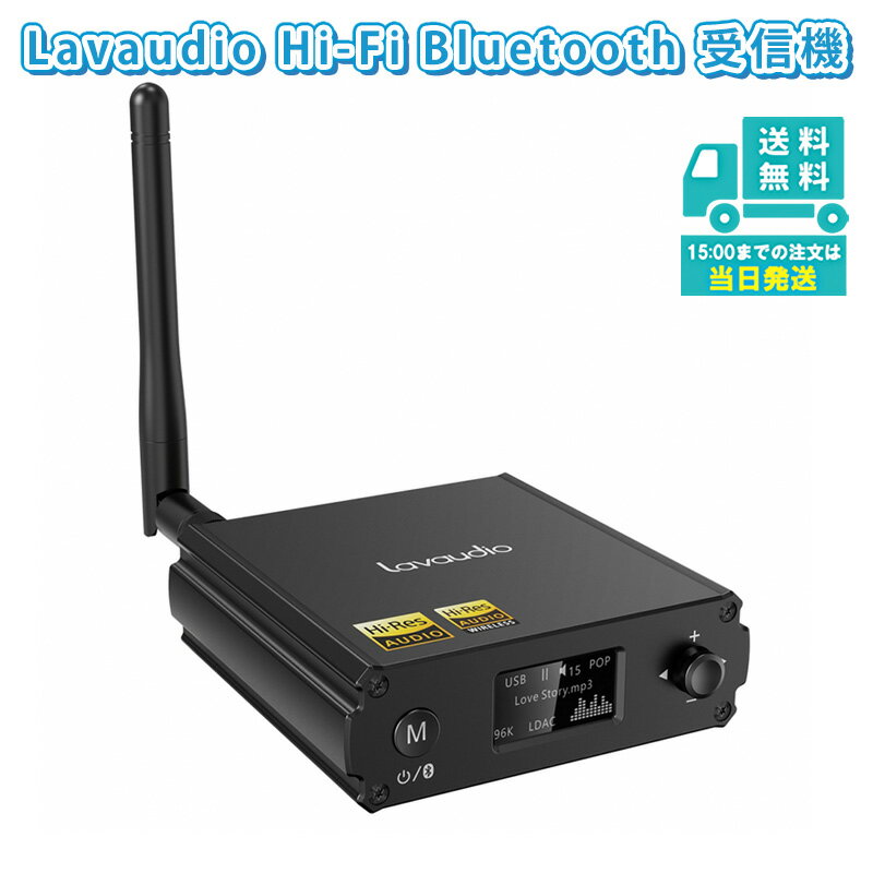 Bluetooth ǥ ץ 쥷С LDAC APTX HD APTX LL ٱ ϥ쥾 ǥ ⲻ ֥롼ȥ  ԡ  磻쥹 USB Type-C RCA   1Mii DS220