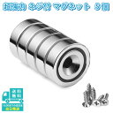 【5個セット】 マグネット 超強力 丸型 小さい ネオジム 磁石 ネジ付き ネジ固定 板 工具 収納 皿型 超強力 マグネット IDETOR製 j006
