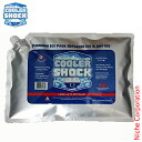 クーラーショック L COOLER SHOCK 7CSLS アウトドア 保冷剤 キャンプ 保冷材 バーベキュー 保冷パック BBQ アイスパック 強力 保冷バッ...