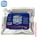 クーラーショック S COOLER SHOCK 7CSSS アウトドア 保冷剤 キャンプ 保冷材 バーベキュー 保冷パック BBQ アイスパック 強力 保冷バッ...