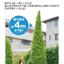 niche-express:10044747のサンプル画像3