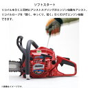 niche-express:10043946のサンプル画像2