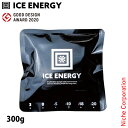 アイスエナジー 保冷剤 アルミソフトケース 300g -10℃ IEASG2-10-300 保冷材 アウトドア 保冷 キャンプ BBQ バーベキュー