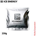 アイスエナジー ウェア用アルミソフトケース シルバー 250g IEASW-S5-250 アウトドア 保冷剤 冷却ベスト クールベスト プロフィットベスト 注目商品