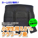 剣道具 剣道防具 垂 小学生用 5.0m/mミシン刺 クラリーノナナメ刺【刺繍ネーム無料(3文字まで)】