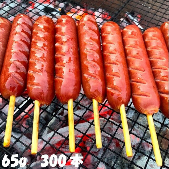  6 3lグ tNtgt(65g) 300{  (ꕔn) ܂t  t \[Z[W o[xL[ BBQ Lv z[p[eB p[eB w  oU[ q  Ղ Cxg a   Ɩp tN 300{