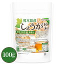 熊本県産しょうが粉末 100g 【送料無料】【メールで郵便ポストにお届け】【代引不可】【時間指定不可】着色料香料不使用 残留農薬試験実施済み ジンジャー [04...