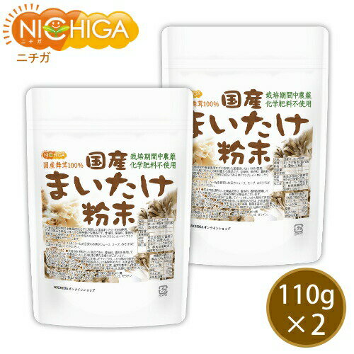 񻺤ޤʴ 110g2 ݴԻ ̳ƻ100 [02] NICHIGA(˥)