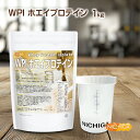 <シェイカー セット> WPIホエイプロテイン 1kg 【送料無料(沖縄を除く)】 プレーン味 牛成長ホルモン不使用 (人口甘味料・香料不使用・無添加) WPI...