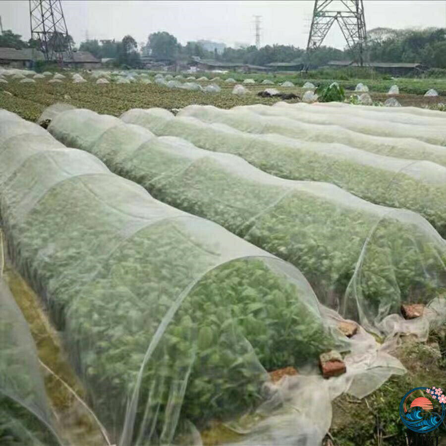 害虫対策ネット1. ×50m◆細かい網目で害虫の侵入を防止約1mmの目合いで害虫の侵入を防止し、品質の高い農作物の栽培をサポートします。※網目より小さい害虫の侵入は防げません。◆高い透光効果によって農作物の育成促進ネット本体はポリエチレン素材で軽くて、耐久性があり、高い透光効果により、作物の光合成を遮りません。メッシュ状で雨通しもよく、お水の供給がネットの上から可能です。◆はさみで簡単にカット可能〔商品詳細〕サイズ：約1.8m×50m重量：約1,450g目合い：約1mm素材：ポリエチレン園芸 ガーデニング ポリエチレン 野菜 果物 トンネル栽培 べたかけ 農業 園芸 栽培 網 防虫網 虫除け 侵入 防止 予防 食害 ネット ネット プランター 家庭菜園 畑 ベランダ 害虫 害虫対策 侵入 防止 予防 食害 軽量 ポリエチレン 野菜 果物 トンネル栽培 べたかけ 農業 園芸 栽培 網 防虫網 虫除け ビニール 鳥よけ ガーデニング 農業用品 園芸用品 ガーデニング用品 家庭菜園 ベ