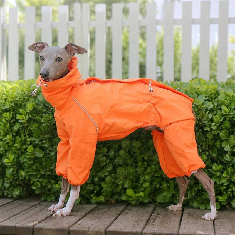 犬用レインコート イタグレ ウィペット 専用 カッパ つなぎタイプ 防風 防寒 ドッグウェア 高襟 調節可能 ファスナー付き 反射テープ付き 雪対策 泥除け 散歩用 ペット雨具 オー ンワン 耐久性